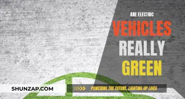 The Green Myth: Unveiling the True Environmental Impact of Electric Vehicles