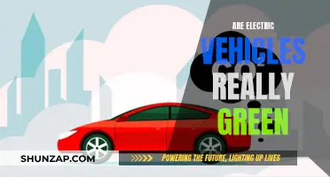 Electric Vehicles: Green Revolution or Greenwashing?