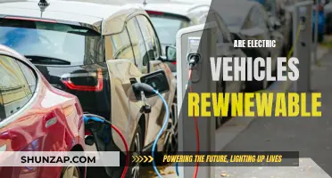 Electric Vehicles: Renewable Energy's Future?