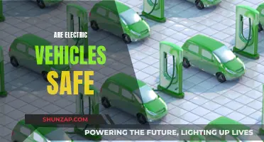 Electric Vehicles: Safe or Hazardous?