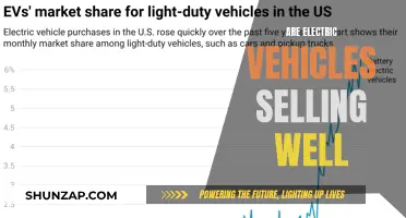 Electric Vehicles: Sales Rising, But Challenges Remain