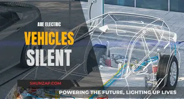Electric Vehicles: Silent Revolution on the Roads