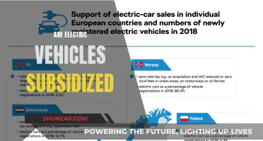 Electric Vehicle Subsidies: Unlocking the Green Car Revolution