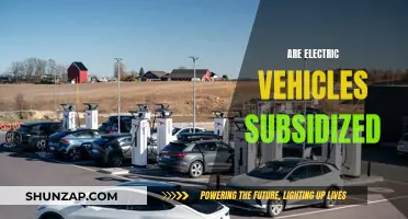 Electric Vehicles: Subsidized or Not?
