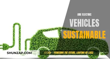 The Green Revolution: Are Electric Vehicles the Sustainable Future?