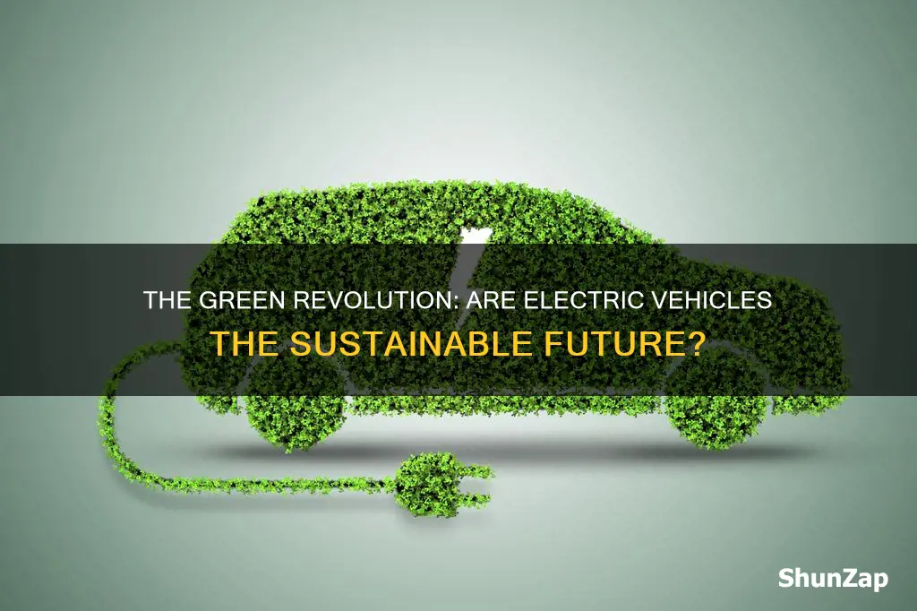 are electric vehicles sustainable