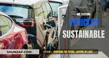 Electric Vehicles: Sustainable Future or Greenwashing?