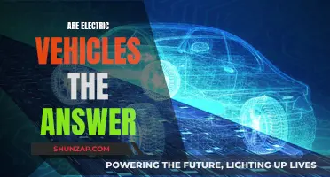 Electric Vehicles: Sustainable Solution or Passing Fad?