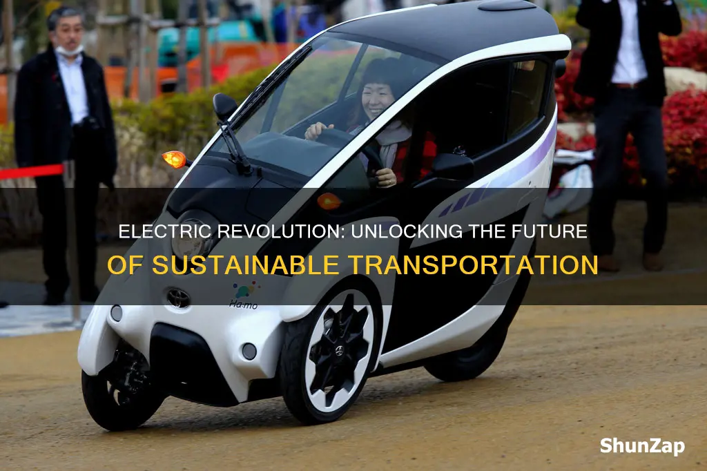 are electric vehicles the future of transport