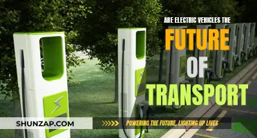 Electric Vehicles: Transforming Transportation for a Sustainable Future