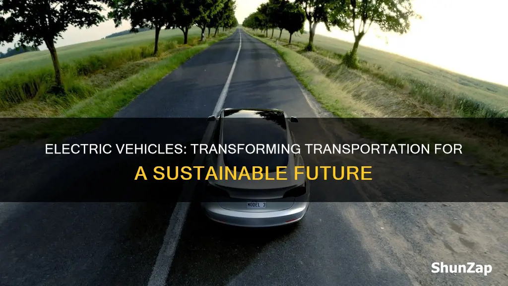 are electric vehicles the future of transport