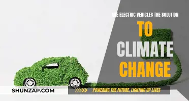 Electric Vehicles: Climate Change's Green Revolution?