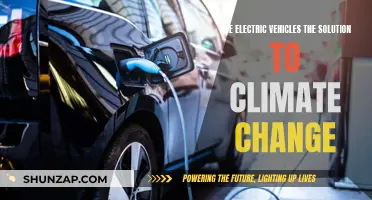 Electric Vehicles: Climate Change Solution or Complication?