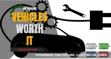 Electric Vehicles: Worth the Cost?