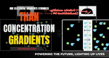 Electrical Gradients: Superior Force or Balanced Equilibrium?