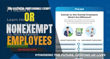 Electrical Pros: Exempt or Nonexempt?