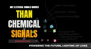 Electrical vs Chemical: Which Signals are Faster?
