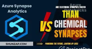Electrical Synapses: Faster or Slower Than Chemical Synapses?