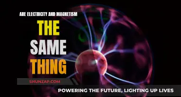 Electricity and Magnetism: Two Sides of the Same Coin?
