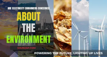 How Green Are Electricity Consumers' Preferences?