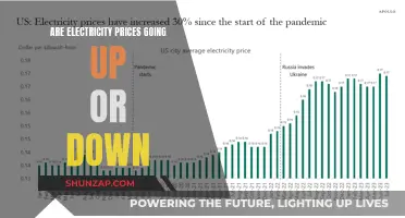 Electricity Prices: What's the Future Trend?