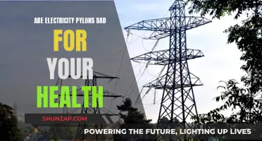 Electricity Pylon Radiation: Is Your Health at Risk?