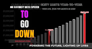 Electricity Rates: Will They Drop or Stabilize?