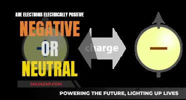 Electrons: Understanding Their Electric Charge Nature