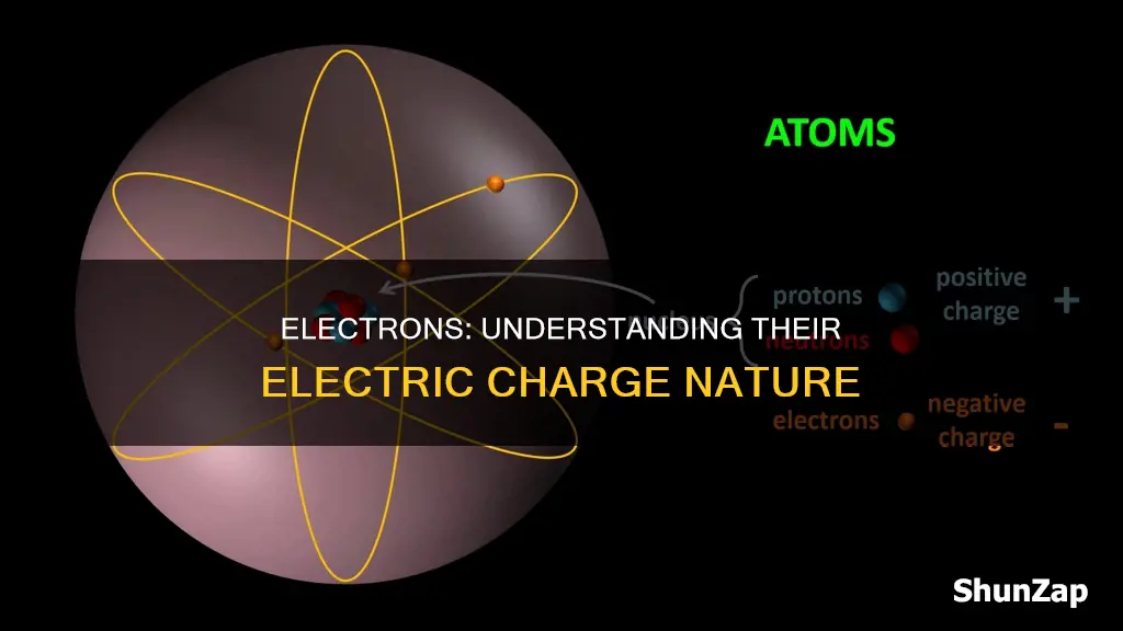 are electrons electrically positive negative or neutral