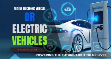 EVs: Unraveling the Mystery: Electronic or Electric?