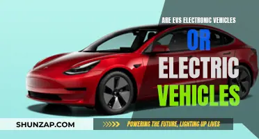 The Evolution of Vehicles: Electric or Electronic?