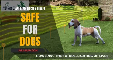 Electric Fences: Safe or Hazardous for Dogs?