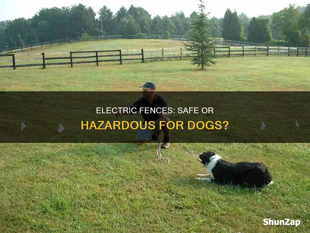 are farm electric fences safe for dogs