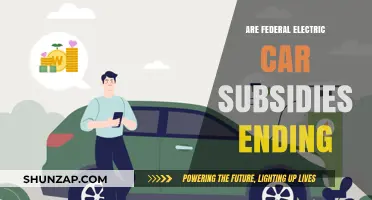 Are Federal Electric Car Subsidies Ending? What You Need to Know