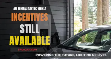 Electric Vehicle Incentives: Are Federal Subsidies Still Available?