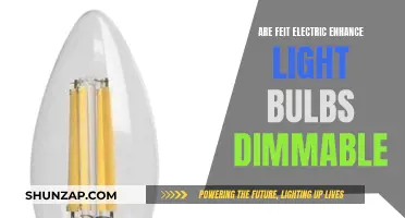 Feit Electric Enhance Light Bulbs: Can You Dim Them?