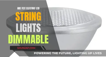 Dimmable Feit Electric LED String Lights: Pros and Cons