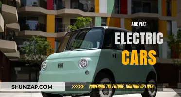 Exploring Fiat's Electric Car Lineup: Innovation, Sustainability, and Performance