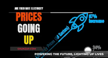 Fixed-Rate Electricity Prices: Rising Costs and Uncertain Future