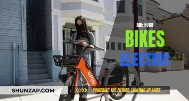 Ford Bikes: Electric Revolution or Traditional Transport?