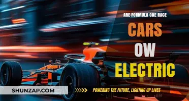 Are Formula One Race Cars Going Electric? Exploring the Future of F1