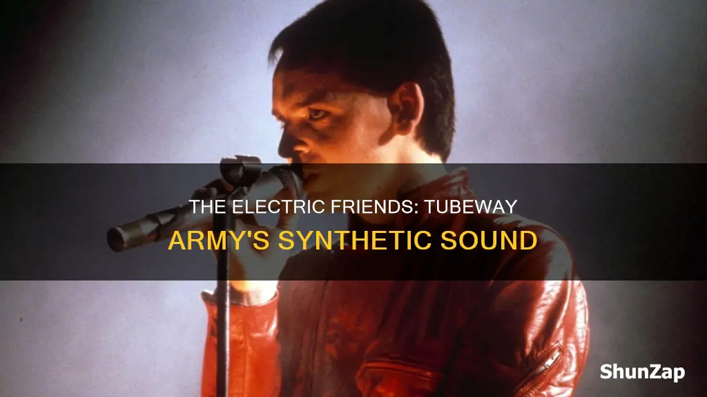 are friends electric tubeway army & gary numan