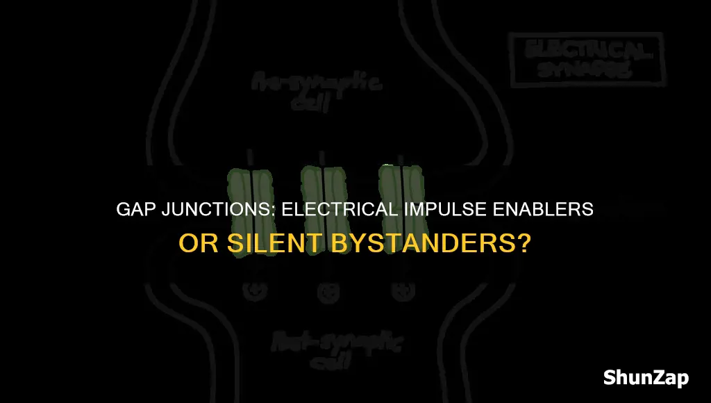 are gap junctions involved in electrical impulses