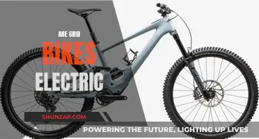 Grid Bikes: Electric or Not?