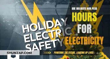 Holidays: Electricity Usage and Non-Peak Hours Explored