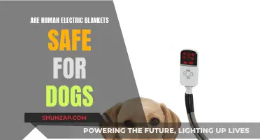 Are Electric Blankets Safe for Canine Comfort?