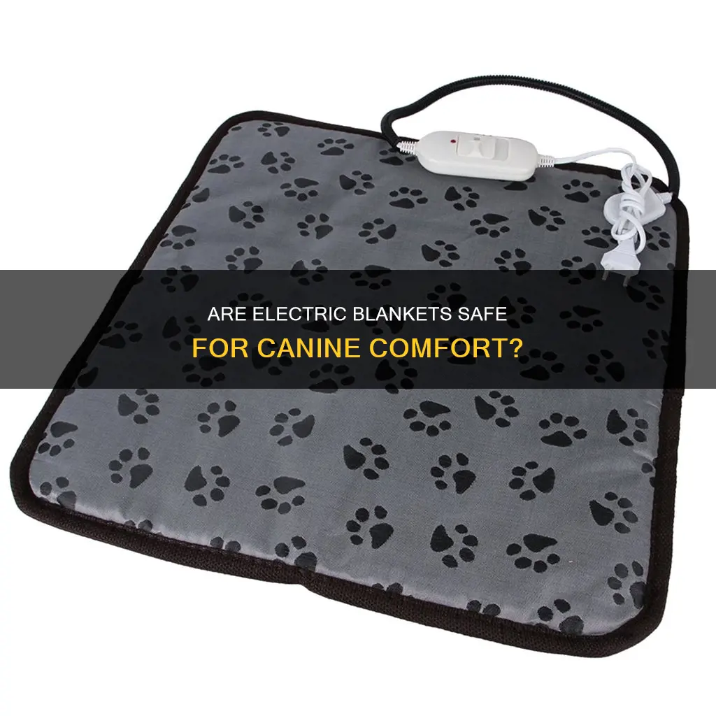 are human electric blankets safe for dogs