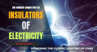 Human Conductivity: Are We Electrical Conductors or Insulators?