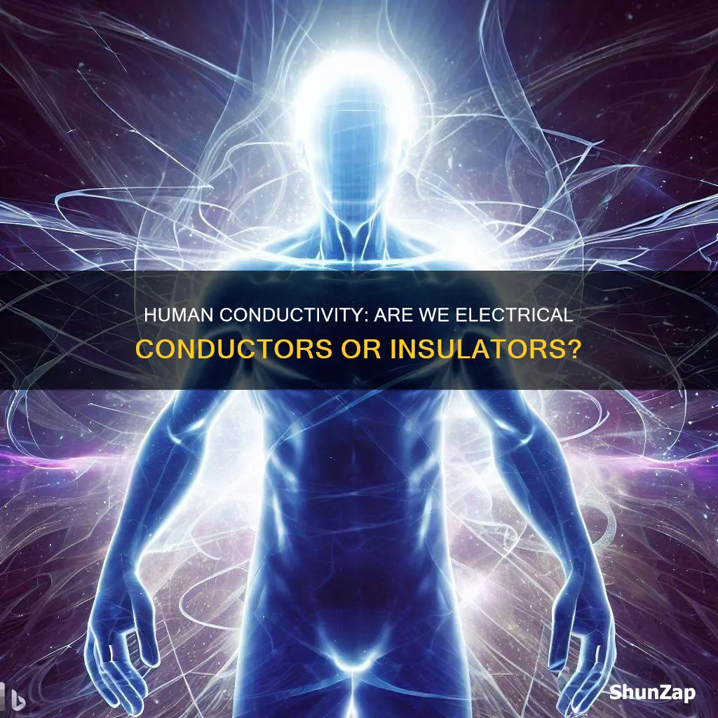 are humans conductors or insulators of electricity