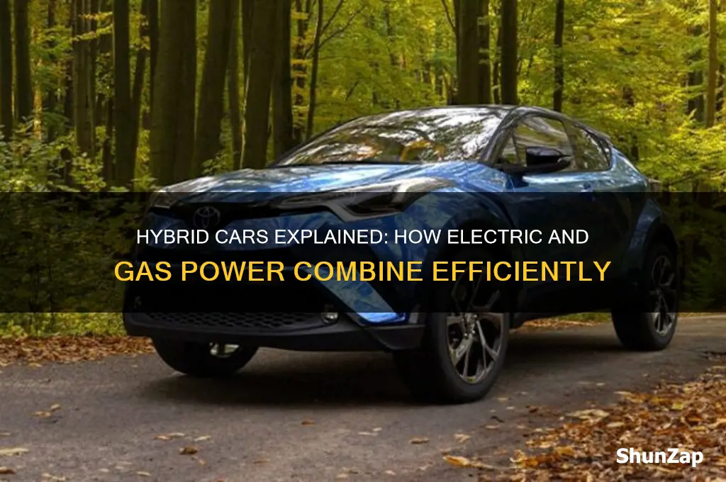 are hybrid cars both electric and gas